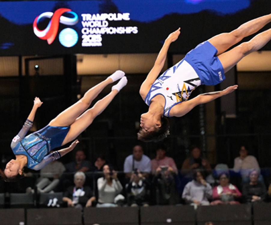 トランポリンとは